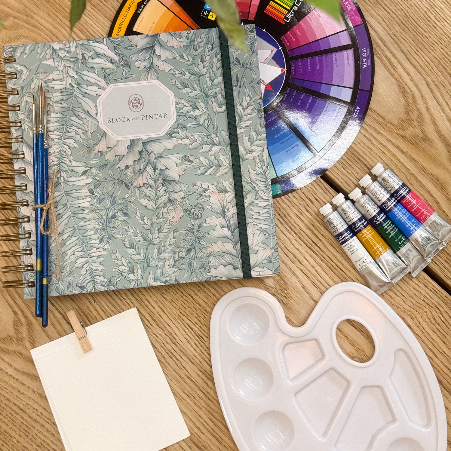 Set de pintura, incluyendo cinco tubos de acuarela, una paleta, tres pinceles, un círculo cromático y un block de pintura.